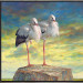 Storks