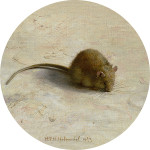 Mouse 1