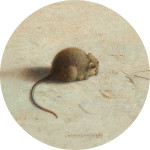 Mouse 3