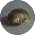 Igel