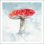 Fly agaric