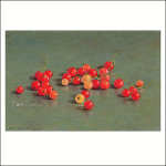 Red currants