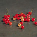 Red currants